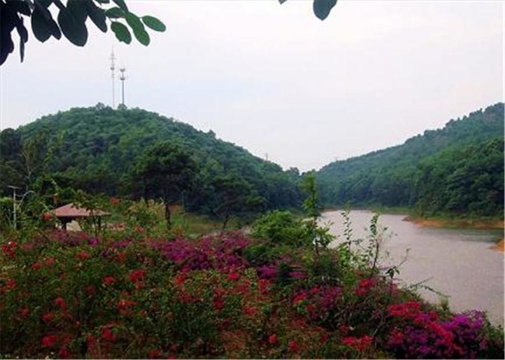 Phoenix Hotel Wuyi Jiangmen Exterior foto